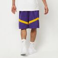 NBA Los Angeles Dry Fit Practise Icon+8in